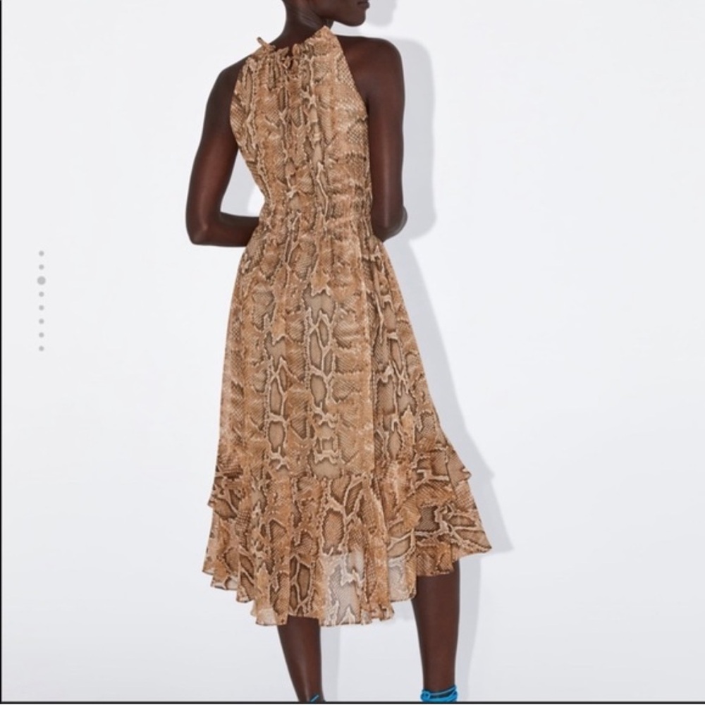 Zara Snakeskin Dress